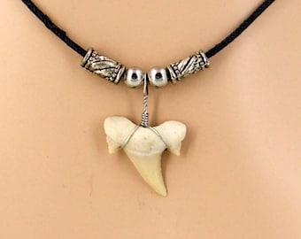 REAL SHARK TOOTH OTODUS NECKLACE FOSSIL PENDANT GREAT WHITE MEGALODON LARGE BIG 