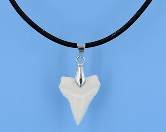 LG Oceanic Whitetip Shark Tooth Necklace With Bale on a Black Silicone Cord Choice 14-15-16-18-20 inch SUP Surfer 7209