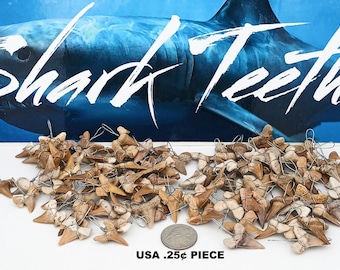 500-Large Fossil Shark Tooth Pendants, Sharks Teeth Wire Wrapped, Length/Size 7/8-inch to 1-inch, #68