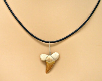 Jj Maybank Shark Tooth Necklace - Etsy