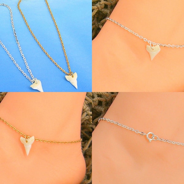 Shark Tooth Anklet Gold or Silver Cable Chain 9, 10, 11, 12 Inches 1005-72