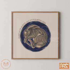 May include: A framed print featuring a detailed illustration of a curled-up hare within a dark blue, starry circle. The text "NONE OF US ALIENS. ALL OF US EARTHLINGS." arcs above the hare. The artwork has a vintage aesthetic, with the artist's signature in the bottom right corner.