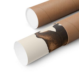 May include: A rolled-up poster featuring a detailed illustration of a brown bear's head and shoulder against a cream background. The poster is partially visible, with the bear's fur texture prominent. The poster is inside a brown cardboard tube.