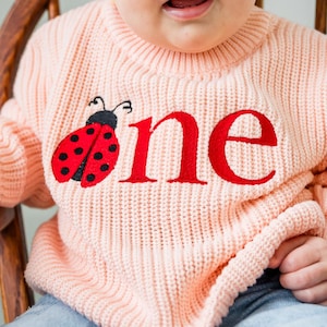 May include: A baby in a light pink sweater with the word "one" in red and a ladybug design. The baby wears ripped blue jeans and a white bow headband. The baby sits in a wooden chair. The sweater is a lovely outfit.