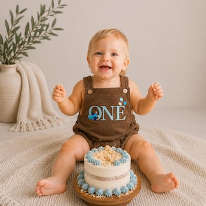 Airplane First Birthday Boy Outfit - Time Flies 1st Birthday Romper