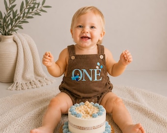 Airplane First Birthday Boy Outfit - Time Flies 1st Birthday Romper