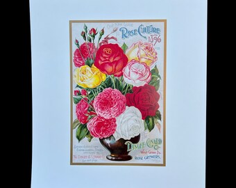Vintage Victorian 1890s Rose Culture REPRO Cottage Style Print Lithograph #5 of #5