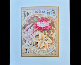 Vintage Victorian Cottage Style Floral Flower Peter Henderson Bulb REPRO Print Lithograph #3 of #5