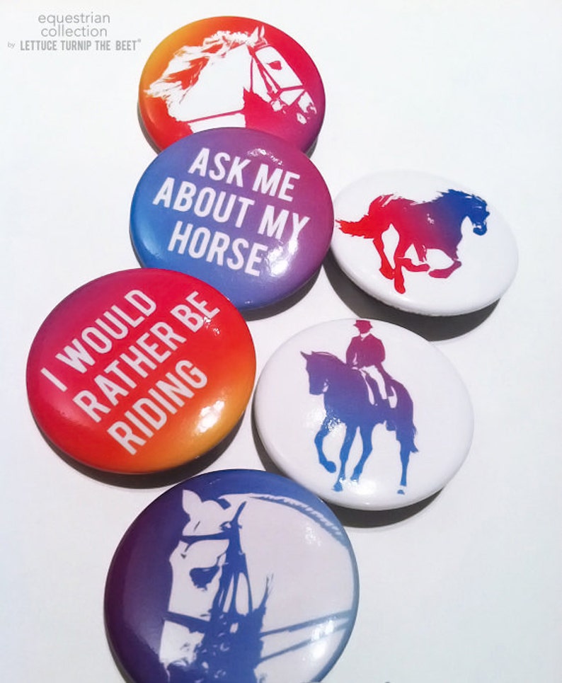 equestrian pinback button set 6 pack 1.5 each original designs barn, horses, jumping, dressage, XC, endurance, English riding pins Bild 2