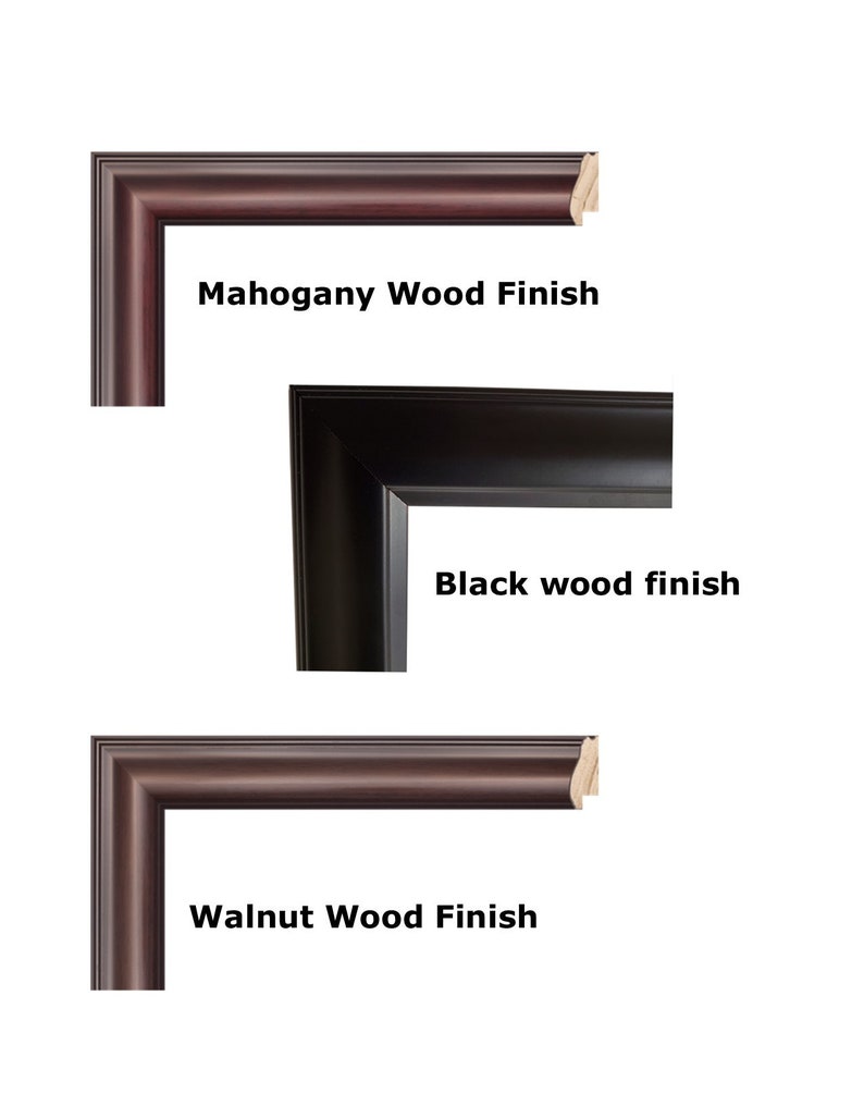 1 Boxing Glove With 8x10 Photo Display Case Etsy