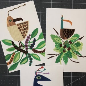 Conjunto de postales de Bird Friends / Tarjetas de arco iris / Saludos de correo postal / Hacer una sonrisa de buzón / Postal posterior al cruce