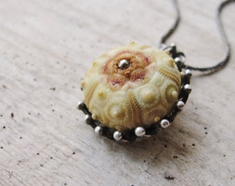 Sputnik Sea Urchin Necklace Sterling Silver Necklace Beach Jewelry, Natural Sea Treasure