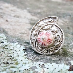 Anillo de erizo de mar rosa Una concha en una concha