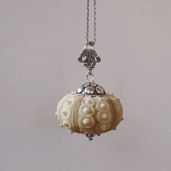 Fossilized Sea Urchin Pendant In Sterling Silver - Unique Natural Gemstone Jewelry, Gift Box Included