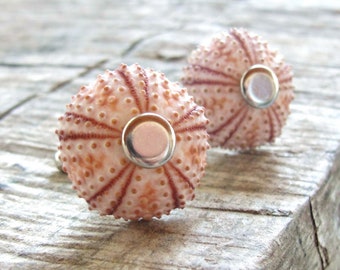 Sea Urchin Cufflinks in Pink, Beach Wedding, Groom Cuff links