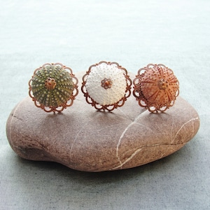 Anillo de cobre con erizo de mar - Anillo de cobre vintage - Elige tu color Verde Blanco Rosa
