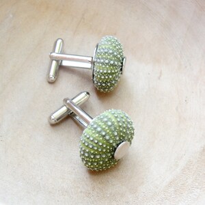 Sea Urchin Cufflinks Green, Sea lover, Sailor, Captain Cuff links image 4