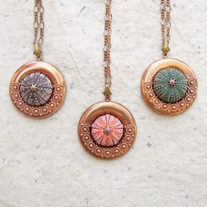 Puede incluir: Tres collares con cadena y colgante de cobre, que presentan un marco redondo de cobre con un erizo de mar en su interior. Los erizos de mar son de diferentes colores: rosa, verde y marrón.