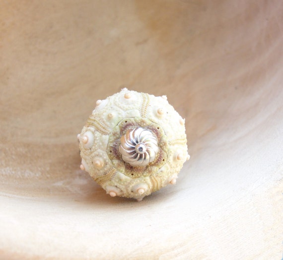 Sea Urchin Ring - Sterling Silver Sputnik Sultan Ring