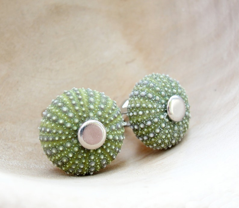 Sea Urchin Cufflinks Green, Sea lover, Sailor, Captain Cuff links image 1