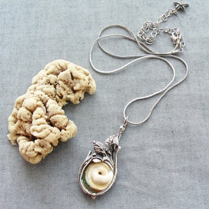 Sea Treasure Collection Eye of Shiva Shell Necklace image 4