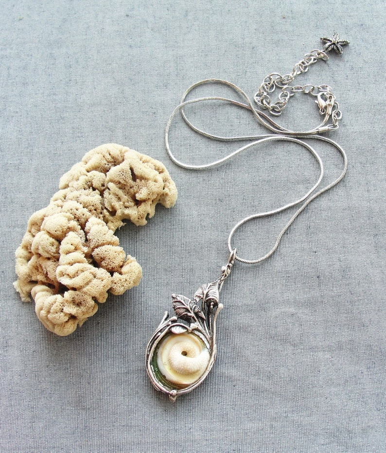 Sea Treasure Collection Eye of Shiva Shell Necklace image 4