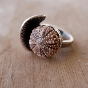 Anillo de plata esterlina con erizo de mar hecho a mano Seashore Treasure, talla 6.5 de EE. UU.