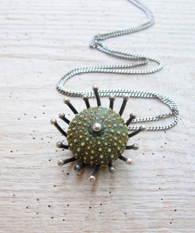 Green Sea Urchin Sterling Silver Necklace Sea Anemone image 1