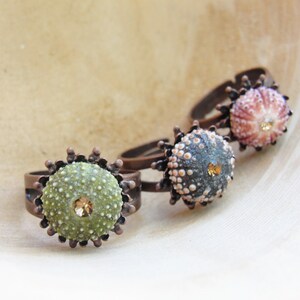 Sea Urchin Ring Mini Copper Ring Pink Green Brown Pick Your Color image 3