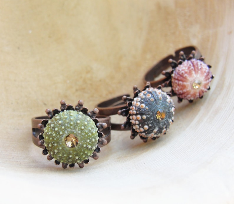 Sea Urchin Ring Mini Copper Ring Pink Green Brown Pick Your Color image 3