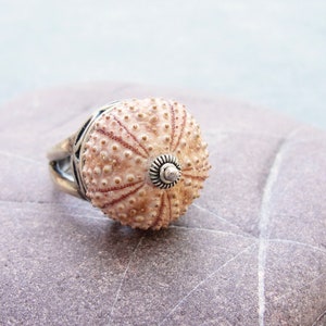 Sterling Silver Sea Urchin Ring Pastel Pink Sultan Ring