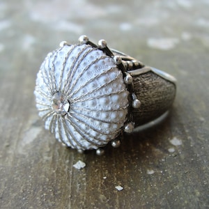 Statement Sea Urchin Ring, Sterling Silver White Sultan Ring tamaño 7.5