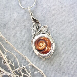 Sea Treasure Collection Eye of Shiva Shell Necklace image 5