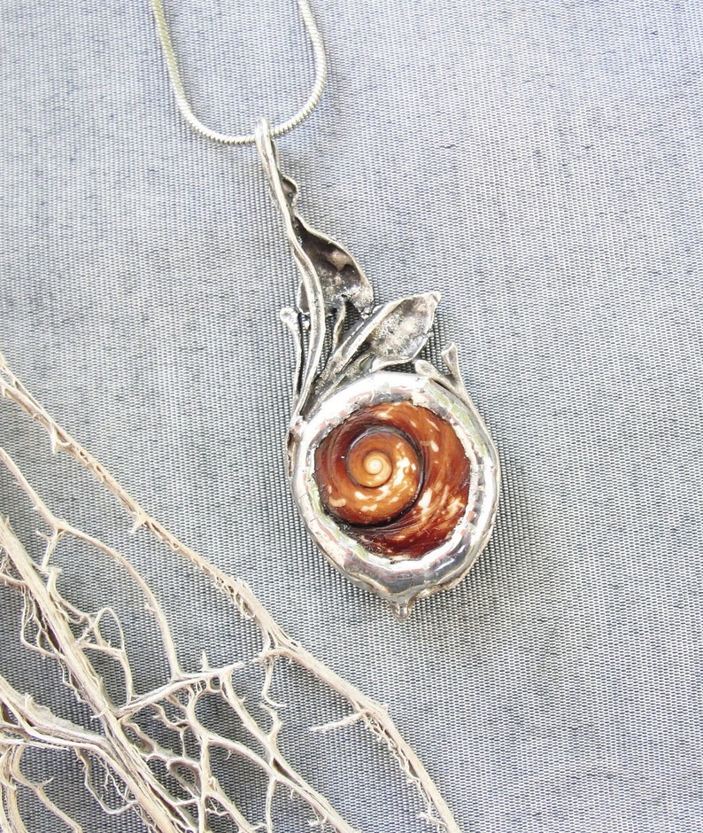 Sea Treasure Collection Eye of Shiva Shell Necklace image 5