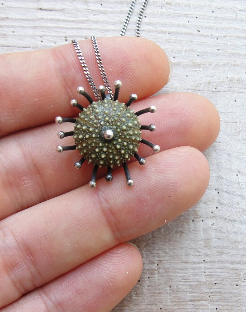 Green Sea Urchin Sterling Silver Necklace Sea Anemone image 3