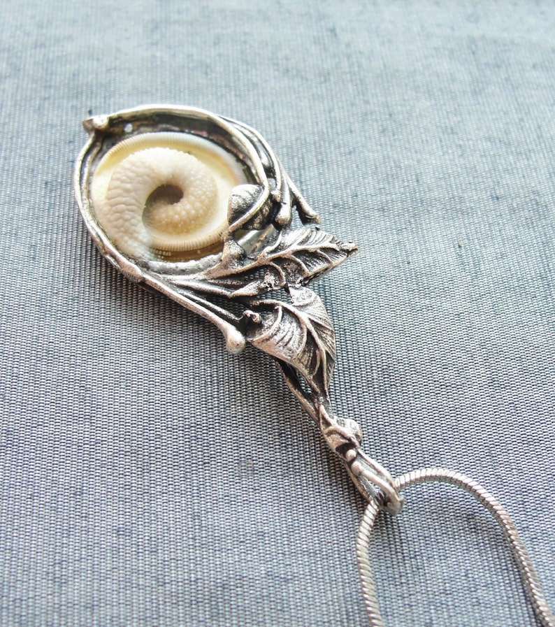 Sea Treasure Collection Eye of Shiva Shell Necklace image 2