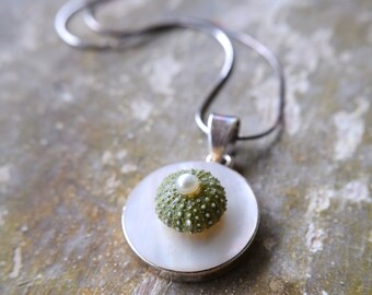 Urchin and Pearl Necklace, Light Green Sea Urchin, Pearl, Mother of Pearl, Sterling Silver Necklace, Beach Jewelry One of a Kind