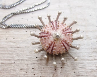 Pink Sea Urchin Sterling Silver Necklace Sea Anemone