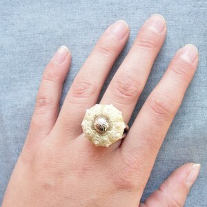 Puede incluir: Un anillo hecho de una concha de erizo de mar blanco con un centro plateado. El anillo se lleva en un dedo.