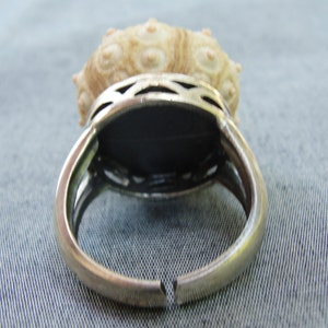Puede incluir: Un anillo de plata con una concha blanca engastada en el centro. El anillo est&aacute; abierto por un lado y tiene un dise&ntilde;o delicado.
