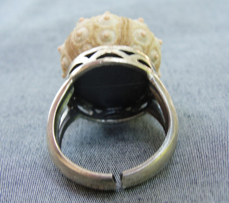 Puede incluir: Un anillo de plata con una concha blanca engastada en el centro. El anillo est&aacute; abierto por un lado y tiene un dise&ntilde;o delicado.
