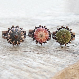 Sea Urchin Ring Mini Copper Ring Pink Green Brown Pick Your Color image 1