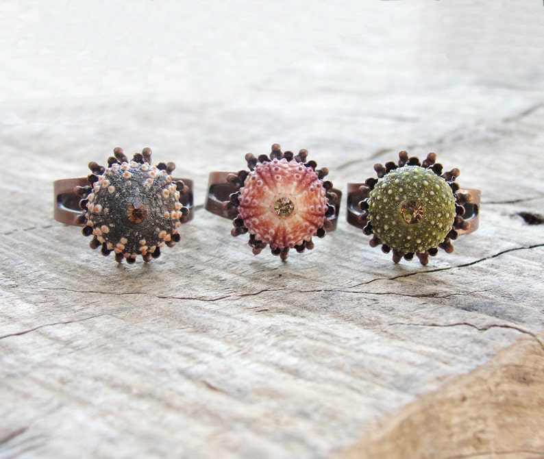 Sea Urchin Ring Mini Copper Ring Pink Green Brown Pick Your Color image 1