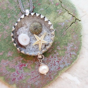 Sea Urchin Necklace: Starfish, Eye of Shiva, Silver Bezel, Pearl Pendant