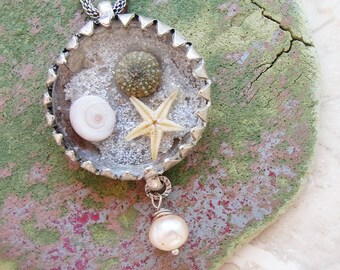 Sea Urchin Necklace Starfish Eye of Shiva Behind Glass Sea Life Necklace