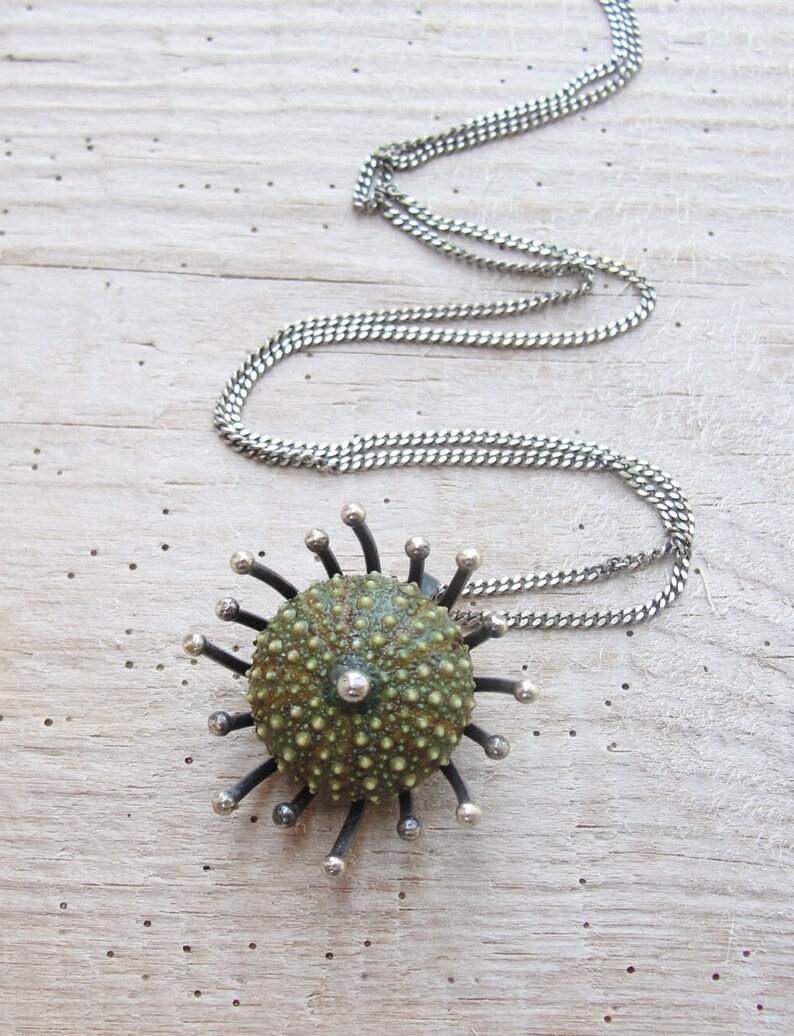 Green Sea Urchin Sterling Silver Necklace Sea Anemone image 4