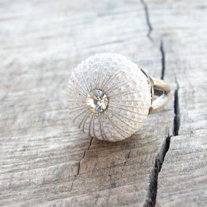 Beach Wedding Jewelry Sterling Silver White Sea Urchin Ring image 4