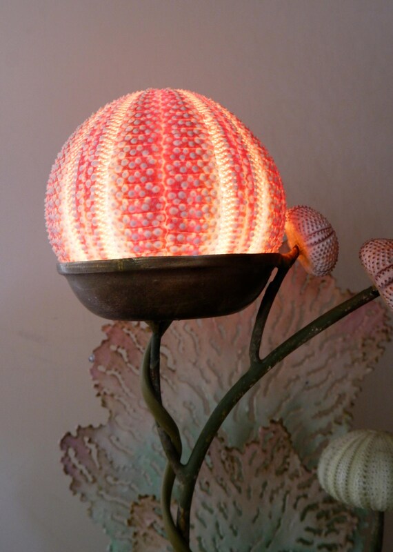 Sea Urchin Table Lamp, Ombre Coral Fan, Coastal Decor - Etsy
