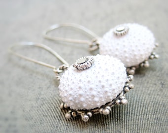 Colección Erizo de Mar - Pendientes Blancos Especiales