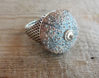 Sea Urchin Ring - Sterling Silver Grey One of a Kind size 11